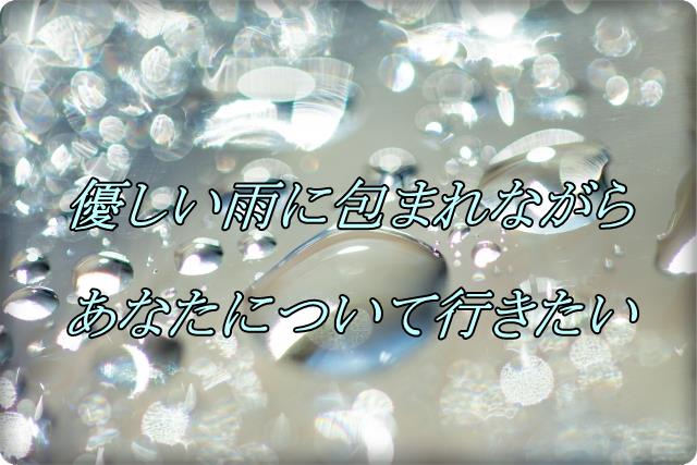 小泉今日子 優しい雨 鈴木祥子 あなたたちに会えてよかった 昭和の名曲 一曲入魂ブログ 70年代 80年代の懐メロ 0選 収まりきれないかも