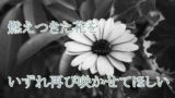 大ちゃん数え歌 昭和45年 いなかっぺ大将 天童よしみ 珍島物語 昭和の名曲 一曲入魂ブログ 70年代 80年代の懐メロ 0選 収まりきれないかも